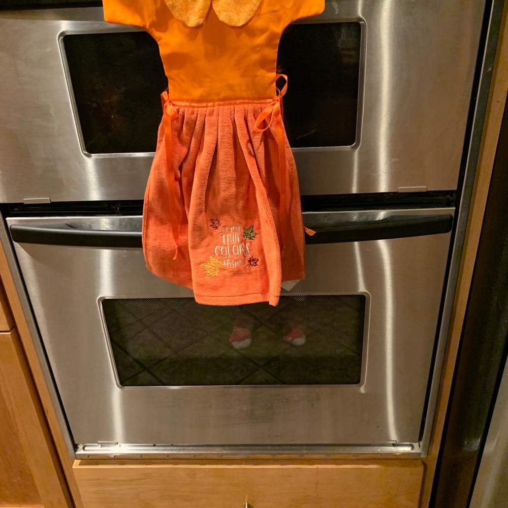 Hangs on oven door